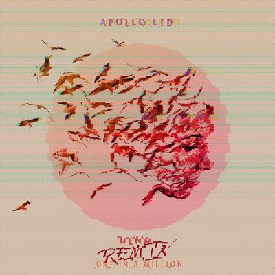 One in a Million (DENM Remix)/Apollo LTD