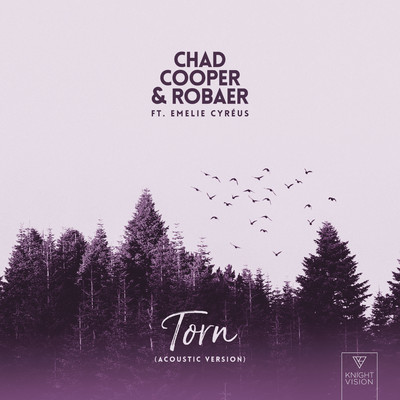 Torn (feat. Emelie Cyreus) [Acoustic Version]/Chad Cooper, Robaer