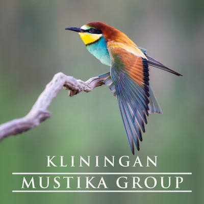 アルバム/Kliningan/Mustika Group