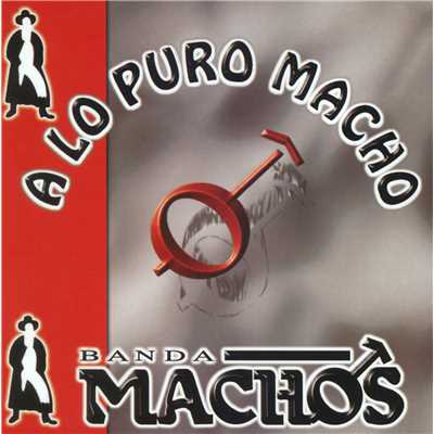 アルバム/A lo puro macho/Banda Machos