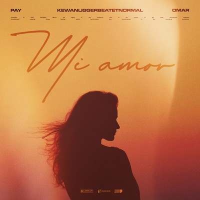シングル/Mi Amor feat.Omar/PAY