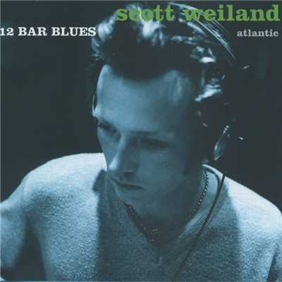 Lady Your Roof Brings Me Down/Scott Weiland