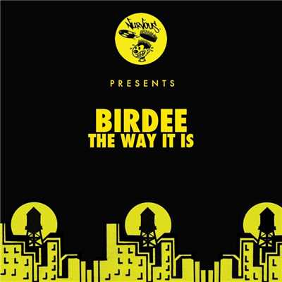 シングル/The Way It Is (Louis La Roche Remix)/Birdee