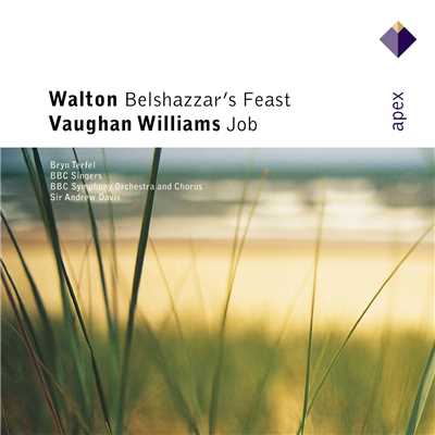 Walton : Belshazzar's Feast & Vaughan Williams : Job  -  Apex/Bryn Terfel