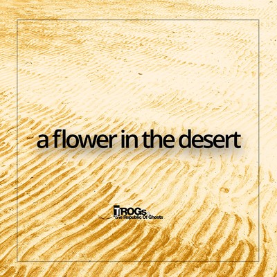 シングル/A flower in the desert/Nothing Less Than Jazz