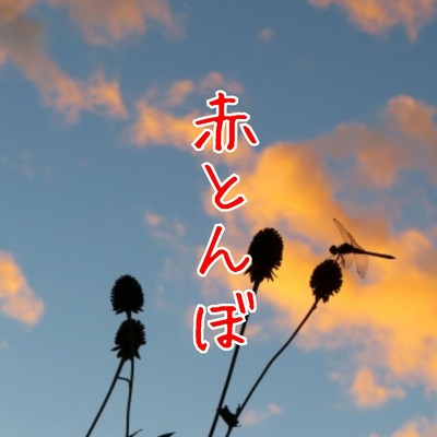 シングル/赤とんぼ (Karaoke)/TMW