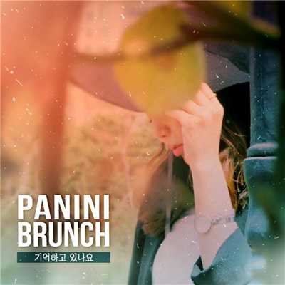 シングル/Do You Remember (Instrumental)/Panini Brunch