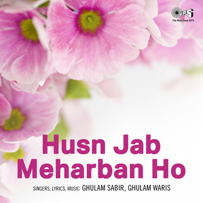 アルバム/Husn Jab Meharban Ho/Ghulam Sabir and Ghulam Waris