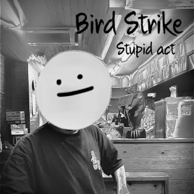 Stupid act/Bird Strike