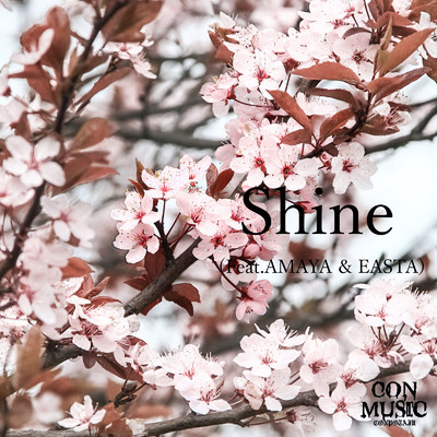 Shine (feat. AMAYA & EASTA)/CONPOTAJU