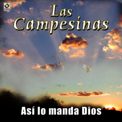アルバム/Asi Lo Manda Dios/Las Campesinas