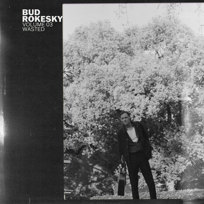 アルバム/Volume 03: Wasted/Bud Rokesky