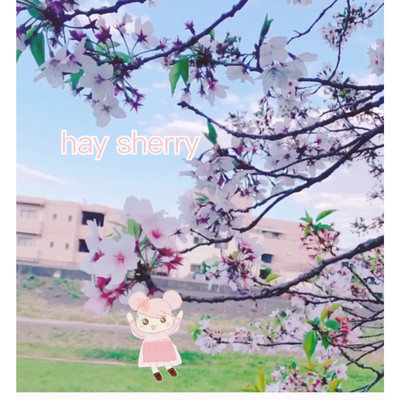 アルバム/hay sherry/NOA