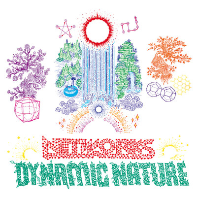 Dynamic Nature/NETWORKS