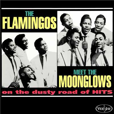 The Flamingos Meet The Moonglows On The Dusty Road Of Hits/フラミンゴス／ムーングロウズ