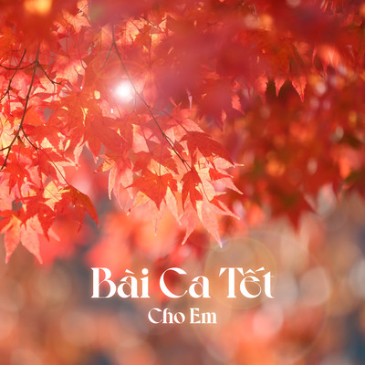 Bai Ca Tet Cho Em/Phuong Nhi