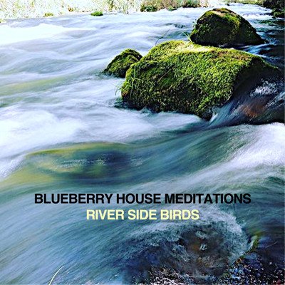 RIVER SIDE BIRDS/Blueberry House Meditations