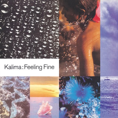 The Groovy One/KALIMA