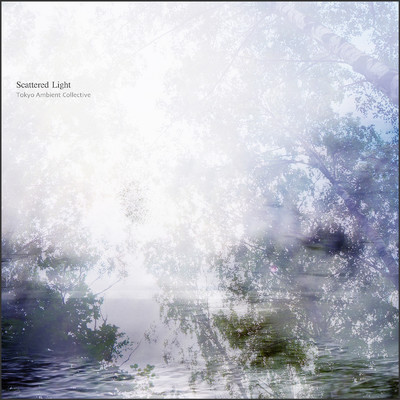 Scattered Light/Tokyo Ambient Collective
