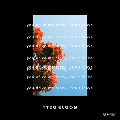 アルバム/You Drive Me Crazy, Don't Leave (Clean)/Tyzo Bloom
