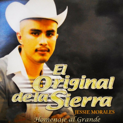 Gallo de Sinaloa/Jessie Morales El Original De La Sierra