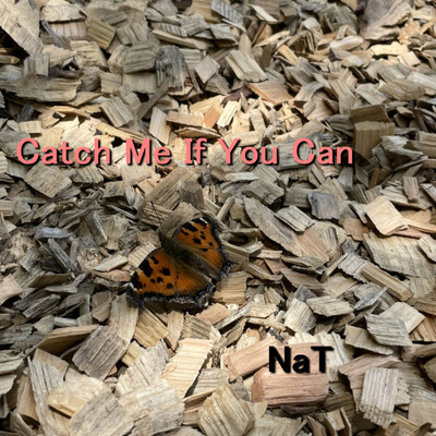 Catch Me If You Can/NaT