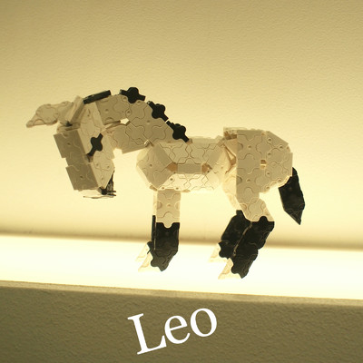 アルバム/Leo/Leo