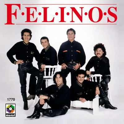 アルバム/Felinos/Los Felinos