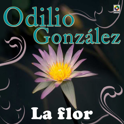 アルバム/La Flor/Odilio Gonzalez