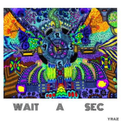 シングル/Wait a Sec/Y RAZ