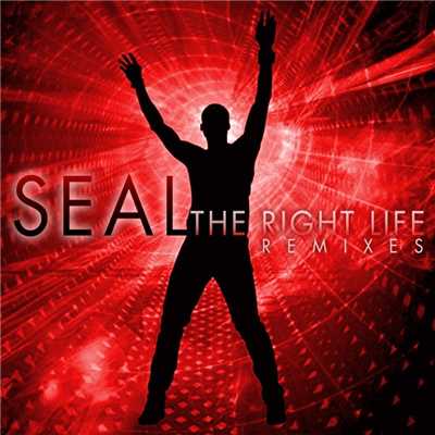 シングル/The Right Life (MacTong Wonderland Radio Edit)/Seal