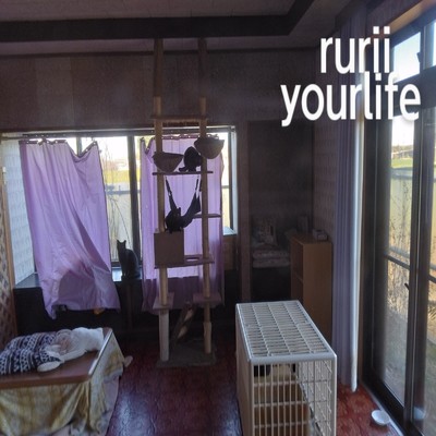 アルバム/yourlife/rurii