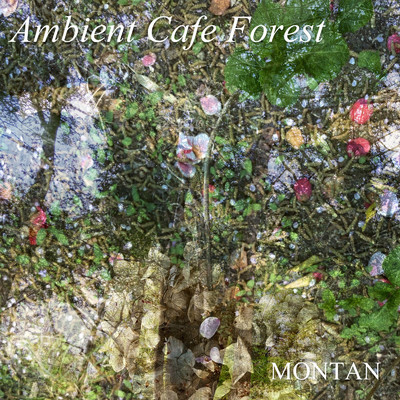 アルバム/Ambient Cafe Forest/MONTAN