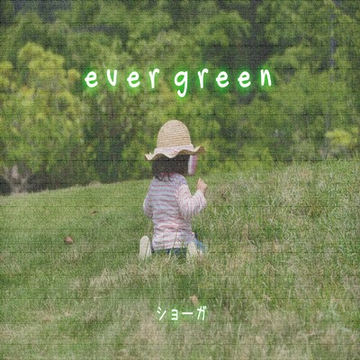 evergreen/ショーガ