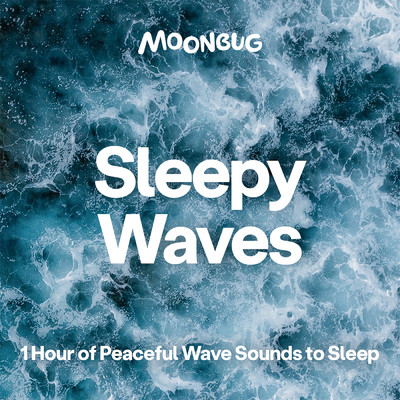 アルバム/Sleepy Waves (1 Hour of Peaceful Wave Sounds to Sleep)/Sleepy Baby Sounds
