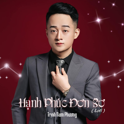 シングル/Hanh Phuc Don So (Lofi)/Trinh Nam Phuong