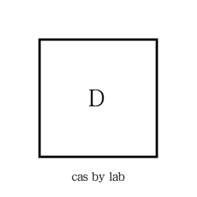 シングル/D/cas by lab