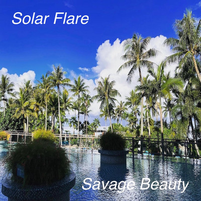 Learn/Solar Flare
