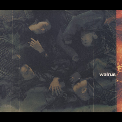 アルバム/空(から)の心/WALRUS