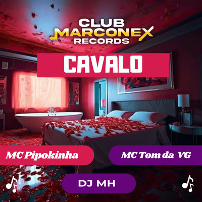 MC Tom da VG, MC Pipokinha & DJ MH