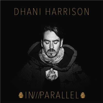 Summertime Police/Dhani Harrison