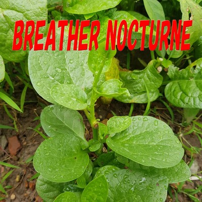Breather Nocturne/JinyaKondo