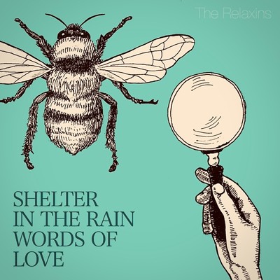 アルバム/SHELTER IN THE RAIN ／ WORDS OF LOVE/The Relaxins