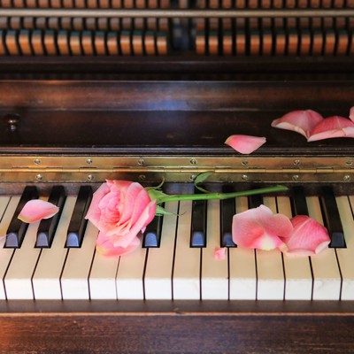 シングル/Kiss Piano/Healing Meditation