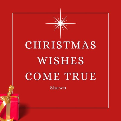 CHRISTMAS WISHES COME TRUE/Shawn