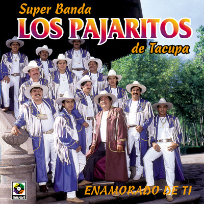 アルバム/Enamorado de Ti/Los Pajaritos de Tacupa