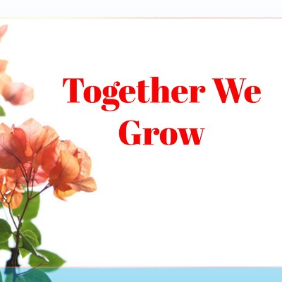 シングル/Together We Grow/Mr KEN