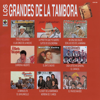 Grandes De La Tambora/Various Artists