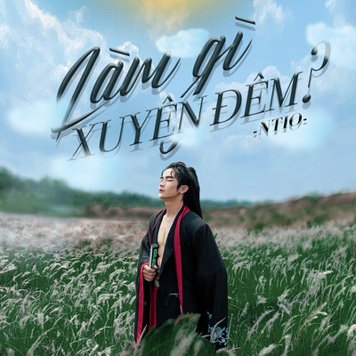 シングル/Lam Gi Xuyen Dem ？ (Beat)/NT10