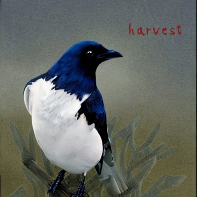 アルバム/harvest/Onishi beats
